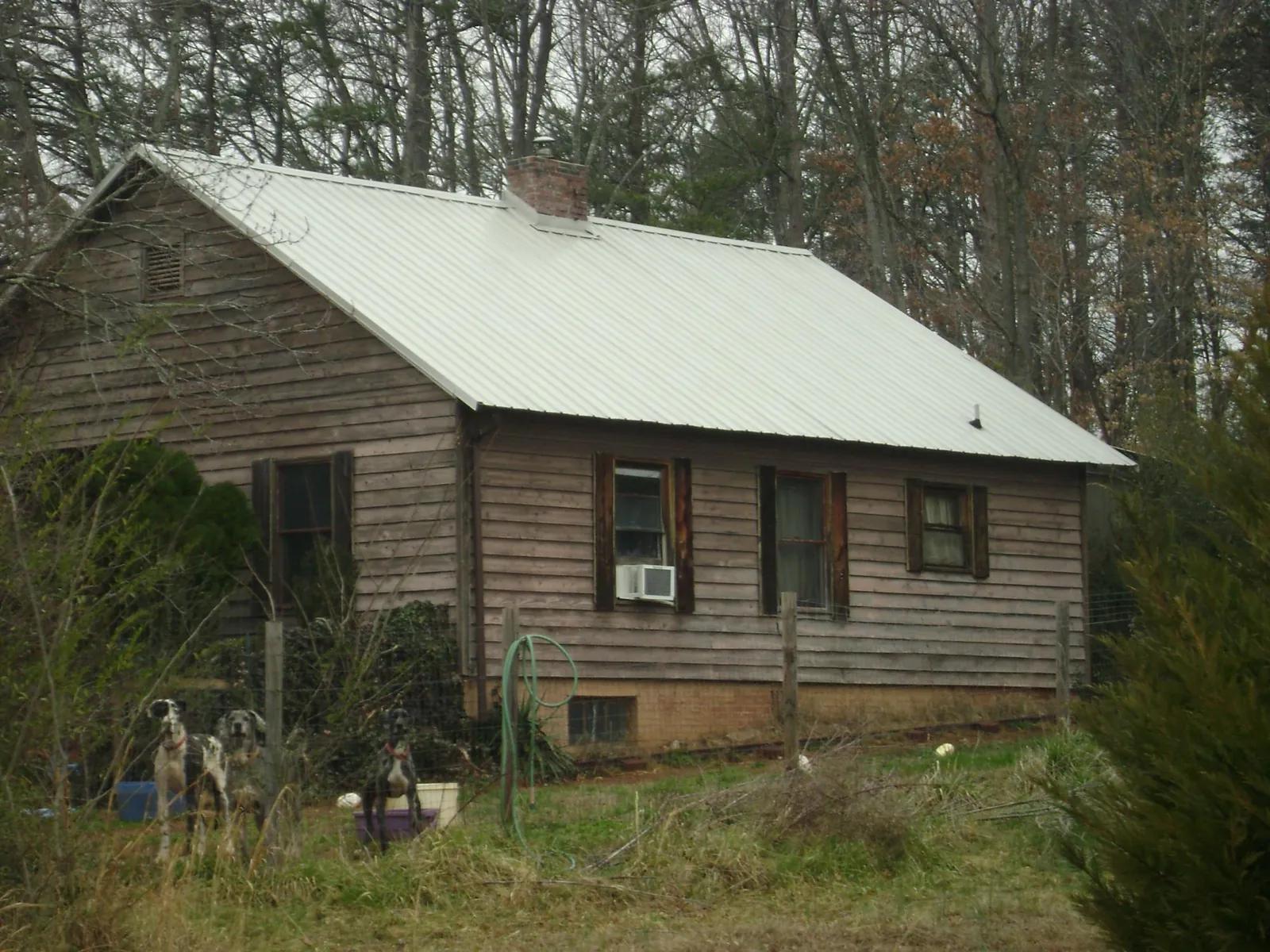 White metal roof on an old wood sided farmhouse, from a Asphalt Shingle Roof Repair job in Banks
